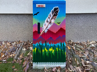 Graffiti-Projekt Medienkasten gestaltet mit einer Vogelfeder und Vögeln im Hintergrund.