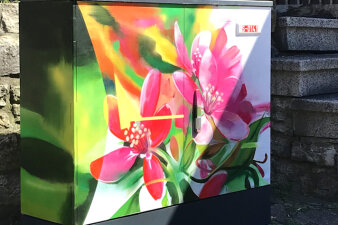 Graffiti-Projekt Medienkasten gestaltet mit Blumenmotiv