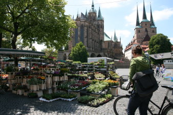 Ein Wochenmarktstand, im Hintergrund der Dom, vorn eine Radfahrerin