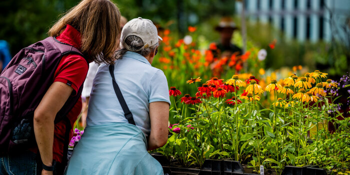 zwei Personen stehen vor einem Tisch, auf dem zahlreiche Blumen in Kisten platziert sind
