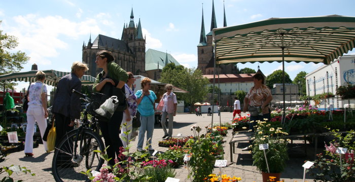 Ein Marktstand mit Pflanzen, im Hintergrund der Dom St. Marien