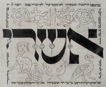 Mikrographien einzelner Tiere und Symbole, angeordnet im Quadrat, welches von hebräischer Schrift umfangen ist. In der Mitte quer ein großer hebräischer Schriftzug, unterbrochen von einzelnen Symbolen.