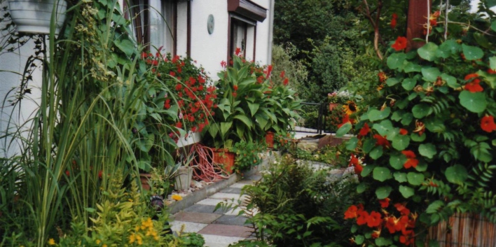 Ein Vorgarten mit üppigem Pflanzenarrangements, im Vordergrund rechts prächtige Kapuzinerkresse