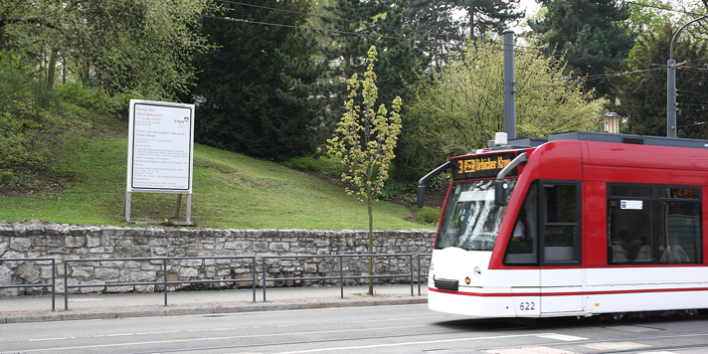 Bauschild am Fuße des Stadtparks, davor passiert eine Straßenbahn die Szene.