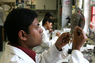 Welt-Meisterwerke der Präparation gehen mit Studenten aus Bangladesch auf Reisen