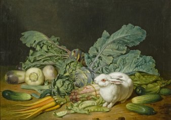 Gurken, Rettich, Möhren, Spargel und anderes Gemüse sowie ein weißes Kaninchen.
