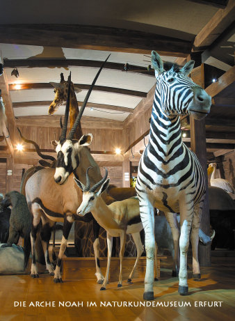 Foto: Arche Noah im Keller des Naturkundemuseums © Falko Behr Tiere im Schiff.