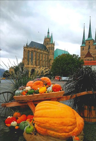 Ein Wagen beladen mit Kürbissen steht auf dem Domplatz, im Hintergrund ist der Dom zu sehen