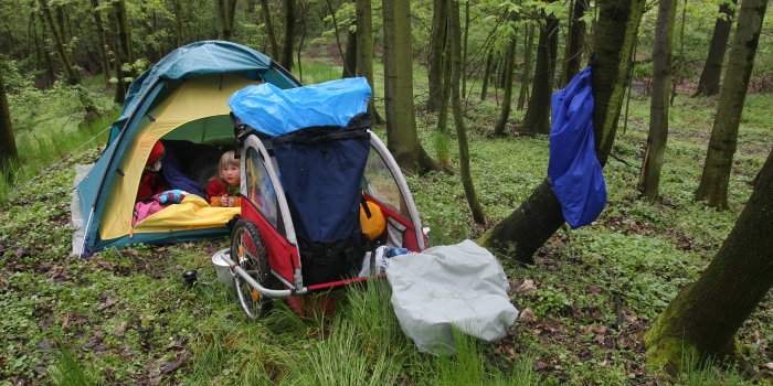 Zelt und Fahrradanhänger inmitten eines Waldes
