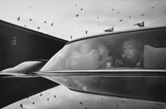 Drei Kinder schauen aus einem Autofenster