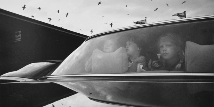 Drei Kinder schauen aus einem Autofenster