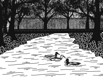 Schwarz-weiß Skizze eines Flusses mit Enten