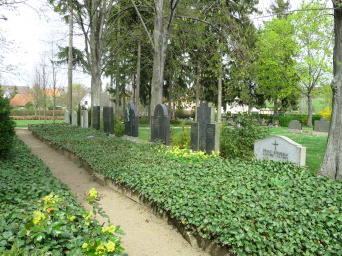 Blick entlang einer mit Efeu bewachsenen Grabreihe. Auf den Grabstätten stehen Breitsteine oder mehrteilige Grabsteine aus schwarzem Granit oder Muschelkalk.