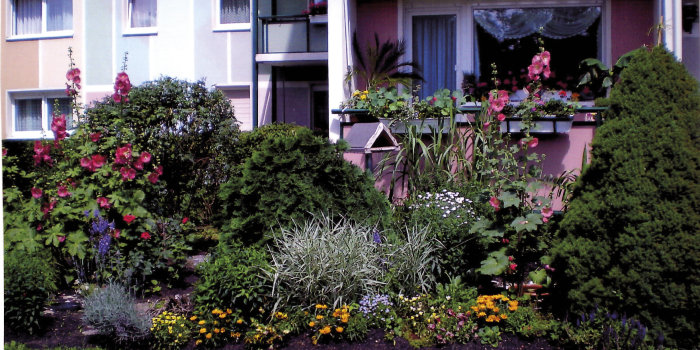 Foto: Anette Berlet Budapester Straße 12 © Privat Vorgarten im Neubaugebiet