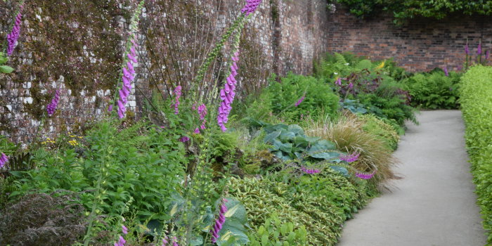 Foto: Blumenschmuck © Stadtverwaltung Erfurt Stauden entlang einer Ziegelmauer