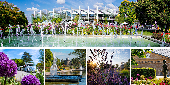 Collage mit Eindrücken aus einem Park