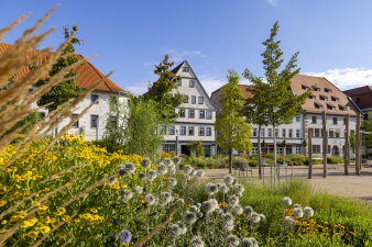 üppig bepflanztes Beet in einer Parkanlage