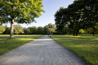 Park im Morgengrauen, Frau joggt