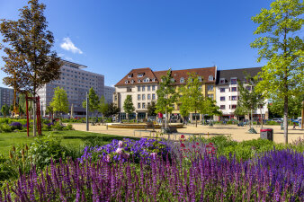 Blick in eine Parkanlage, im Vordergrund eine Pflanzfläche, im Hintergrund ein Spielplatz