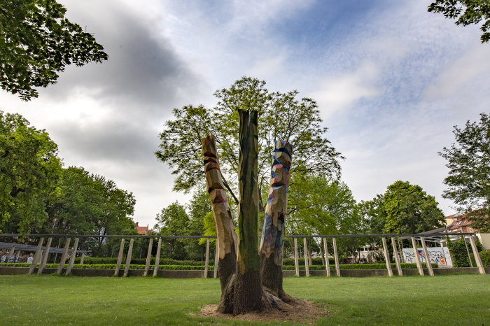 Baum-Kunst im Park