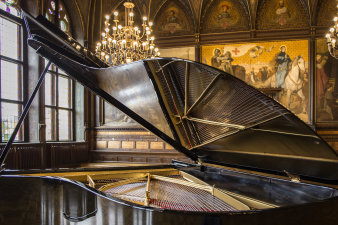 schwarzer Flügel im Festsaal