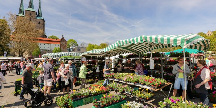 29 Erfurter Blumen Und Gartenmarkt Vom 10 Bis 12 Mai Erfurt De