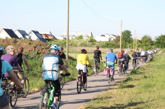 Zahlreiche Fahrradfahrer fahren einem Radweg entlang