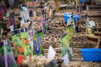 viele Körbe, in denen Blumenzwiebeln liegen, die mit entsprechenden bunten Schildern gekennzeichnet sind