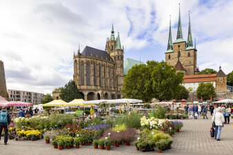 Marktstände mit zahlreichen Pflanztöpfen mit grünen und verschiedenenfarbig blühenden Pflanzen vor dem Erfurter Dom