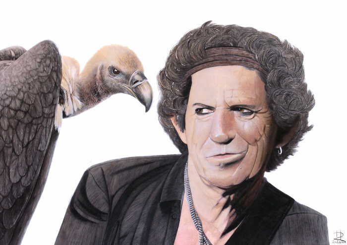 Keith Richards schaut einem Greifvogel in die Augen, Zeichnung