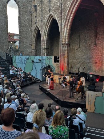 Mehrere Personen bei einem Konzert