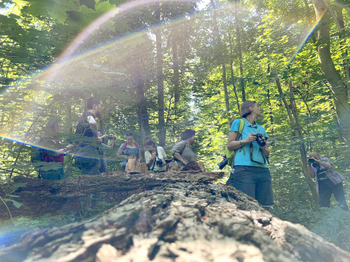 Menschen mit Kamera im Wald
