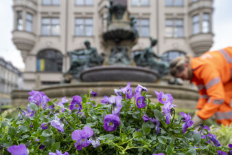 Blumen vor dem Angerbrunnen