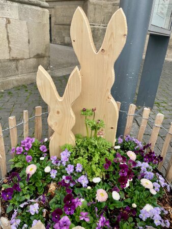 Kleines Blumenbeet vor dem Rathaus