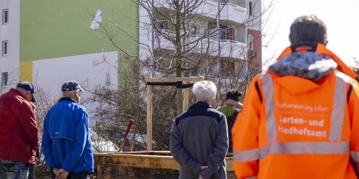 Ein Baum wird auf einer Wiese gepflanzt, im Hintergrund ein Plattenbau