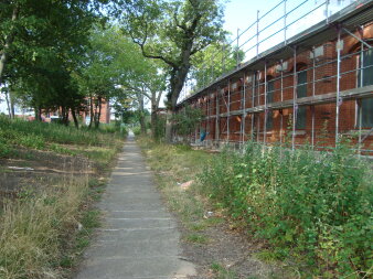 ein Weg, daneben eine verwilderte Grünfläche und ein flaches Backsteingebäude