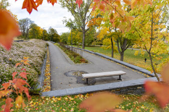 ein Weg in einem Park umsäumt von herbstlich gefärbten Bäumen