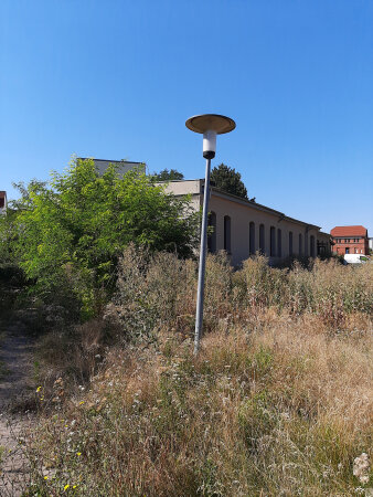 ein verwilderter Bereich neben einem Haus mit einer Straßenlaterne