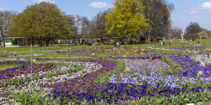 Foto: Buga-Eröffnung © Stadtverwaltung Erfurt ein großes ornamentales Blumenbeet, im Hintergrund Bäume