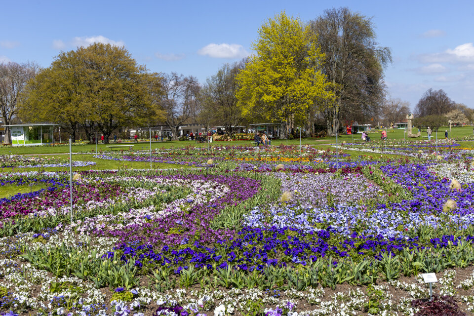 Egapark Erfurt Erfurt.de