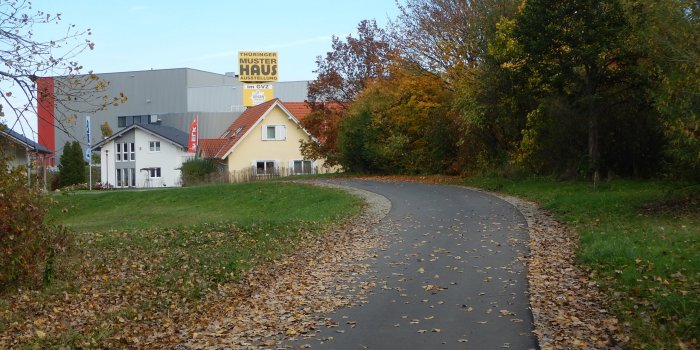 asphaltierter Radweg im Grünen