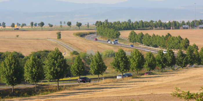 sich in weiträumigen Kurven verlaufende Straße