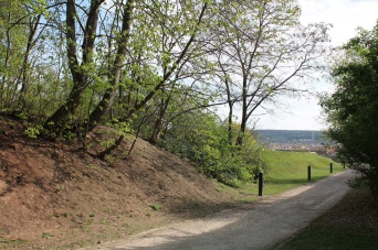 Petersberg Wäldchen Ansicht des Wäldchen außerhalb der Zitadelle Petersberg.