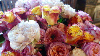Bunte Rosen