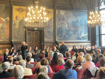 Musiker mit Mandolinen und Gitarren und ein Solist mit Mundharmonika