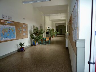 Das Foto zeigt den Schulflur mit Pflanzen vor der Sanierung.