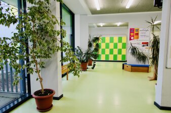 Das Foto zeigt den Flurdes GYM 10 mit grün-gelben Spinden und Pflanzen.