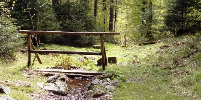 Brücke über einen Bach im Wald.