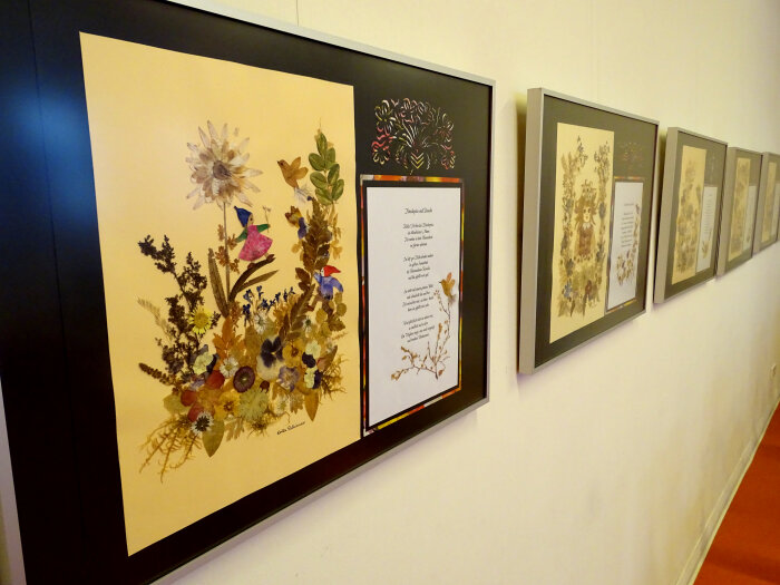Ausstellungsbilder an Wand