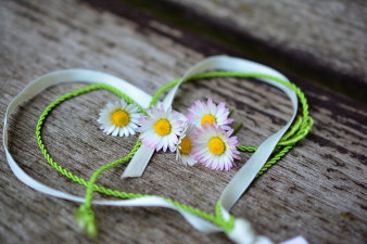 Foto: Valentinstag © congerdesign auf Pixabay Gänseblümchen in Herz